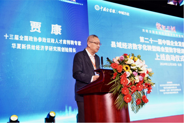贾康：以数实融合形成新质生产力 助力县域经济提质增效升级发展