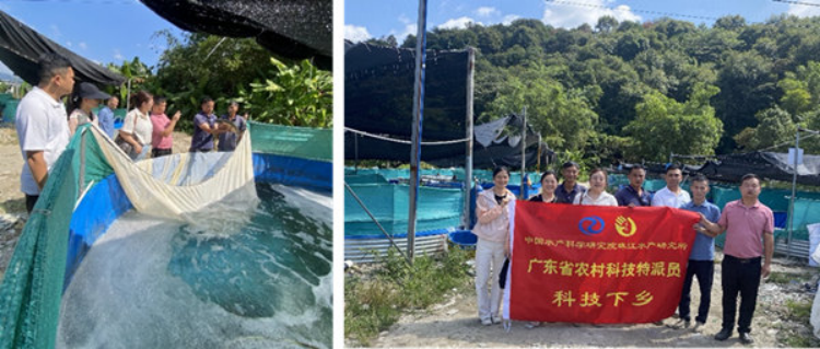 中国水产科学研究院珠江水产研究所专家团队精准助力广东“百千万工程”
