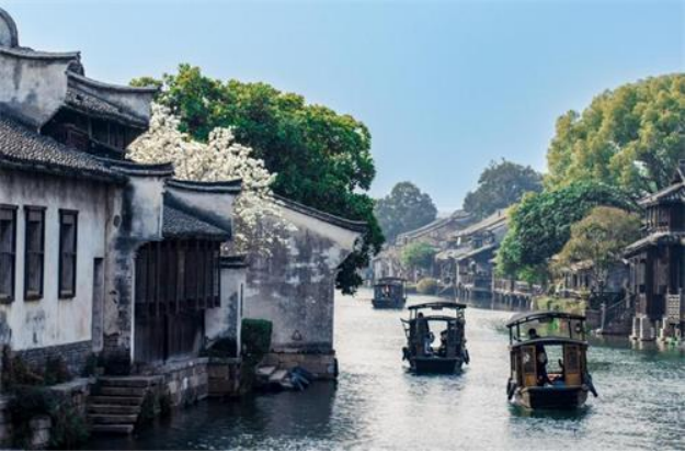 花枝春满趣，乌镇六大主题解锁江南春日新体验