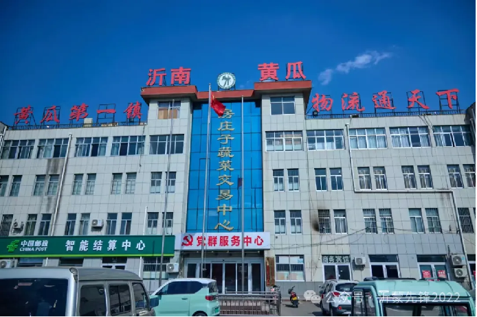 沂南革命老区大力推动黄瓜产业高质量发展