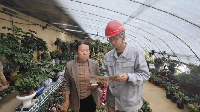 地电柳林分公司：当好花卉“电管家”，铺就芬芳“致富路”