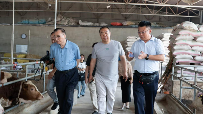 中国农科院原院长、中农促名誉会长翟虎渠莅临彰武为“中药牛”产业发展把脉