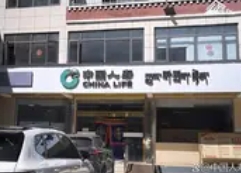 中国人寿财险西藏分公司织密森林“防护网” 守护雪域绿水青山