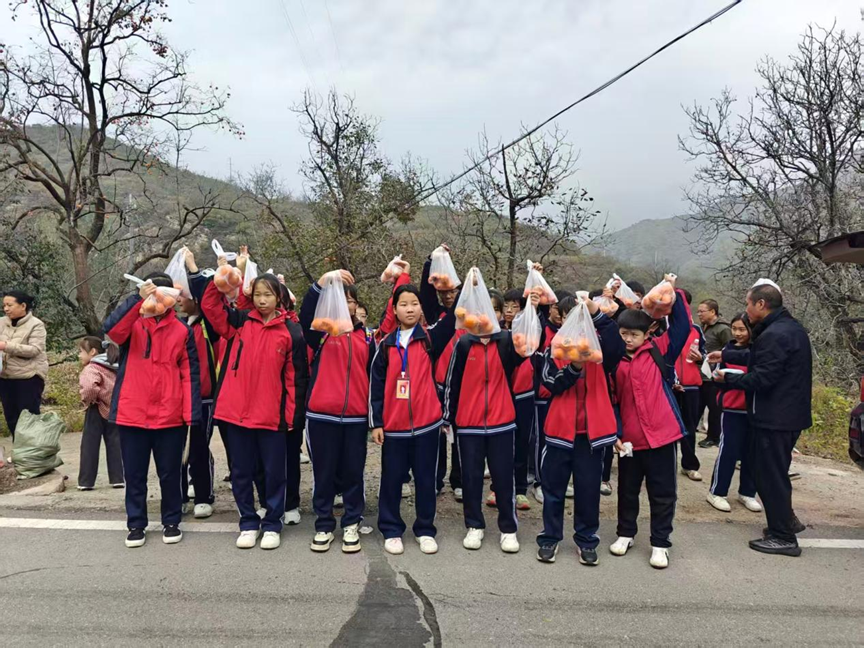 搭建学生实践平台  为帮扶村文旅发展添力