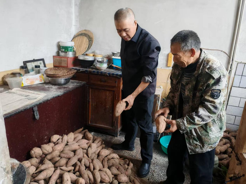 助销红薯解民忧 暖心服务惠民生