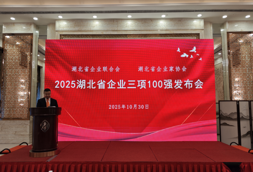 2025湖北企业三项100强榜单发布