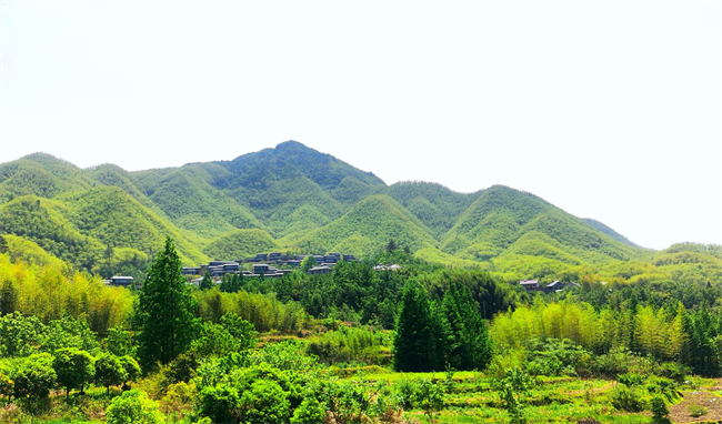 诗莉莉携高端品牌 “观宜” 落子安吉 强强联手打造长三角文旅新标杆