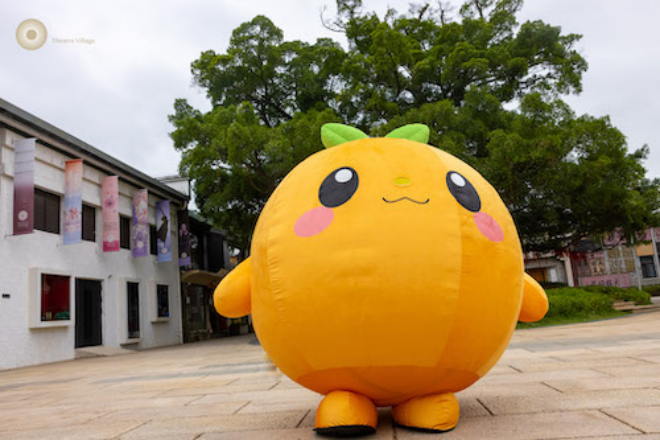 最是橙黄橘绿时 会昌戏剧小镇ART脐橙特别企划将启