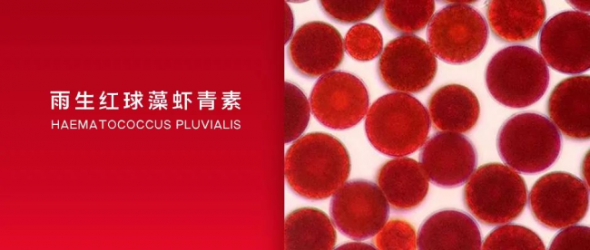 姜黄饮VS天然虾青素，谁才是真正的"健康守护者"？