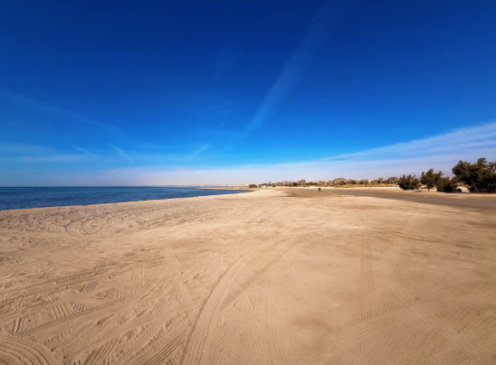 沙特首个自动化巡逻系统！云深处机器狗破解沙滩巡逻难题