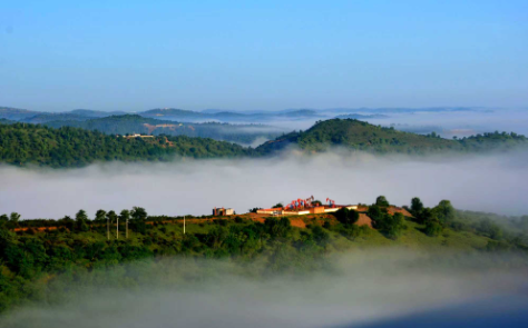 深山有&ldquo;企&rdquo;护青绿 &mdash;&mdash;延长石油志丹采油厂走出高质量生态保护的新路径