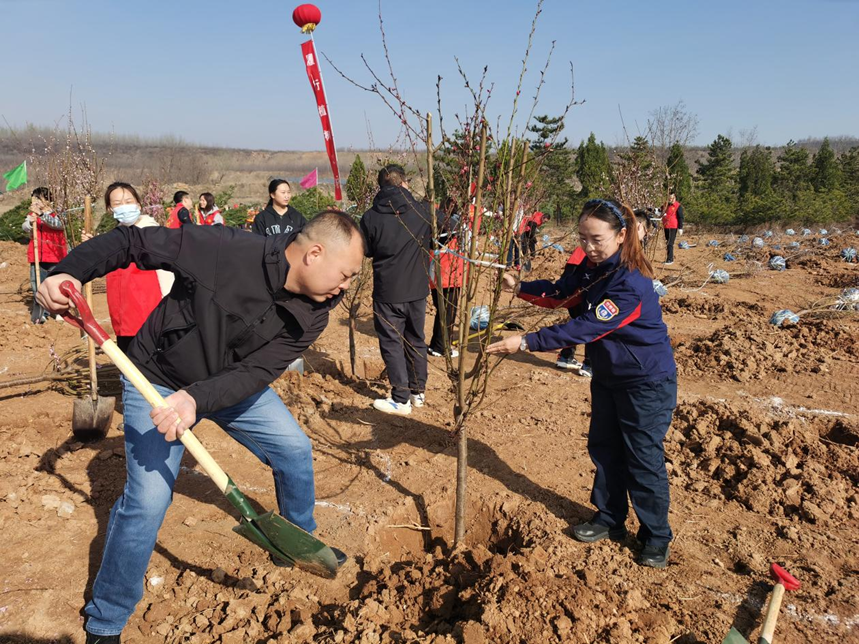 植此青绿守初心 企地同心筑生态