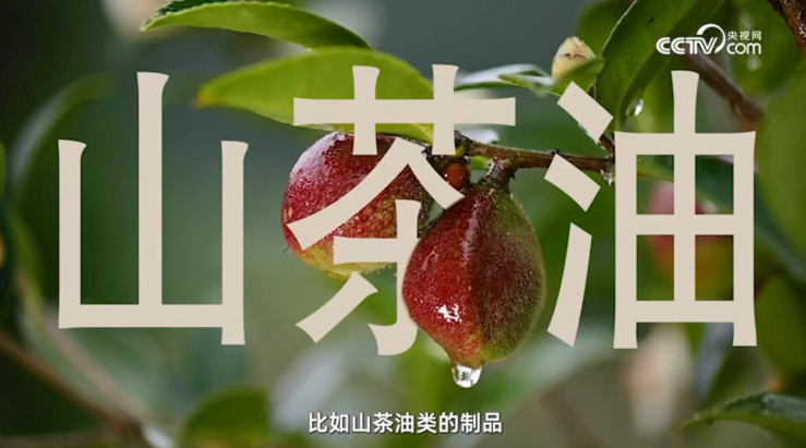 聚焦松达:用科研夯实国货品质