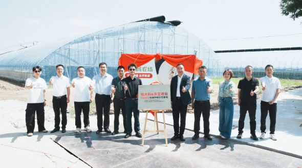 基地共建启新程 标准引领谋共赢&mdash;&mdash;钱大妈携手天玺农业两大标准种植示范基地正式揭牌落地
