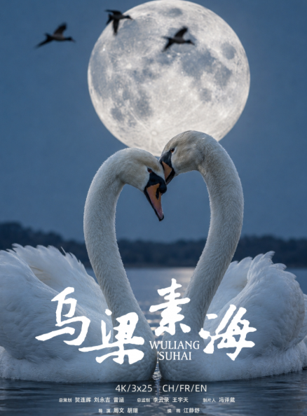 一湖碧水映初心，四季光影叙生态史诗&mdash;&mdash;自然人文纪录片《乌梁素海》在京首映