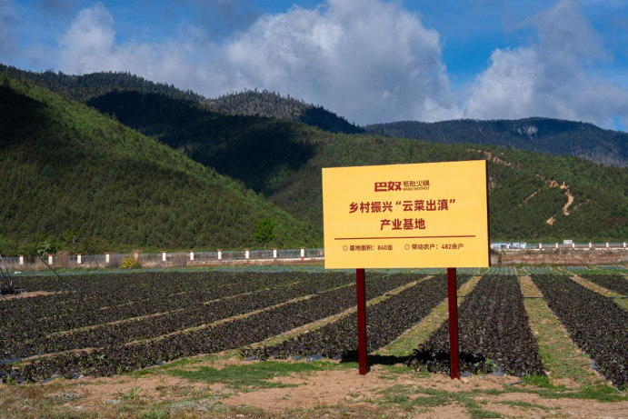 带动种植3万亩！巴奴第七大乡村振兴产业基地落地香格里拉