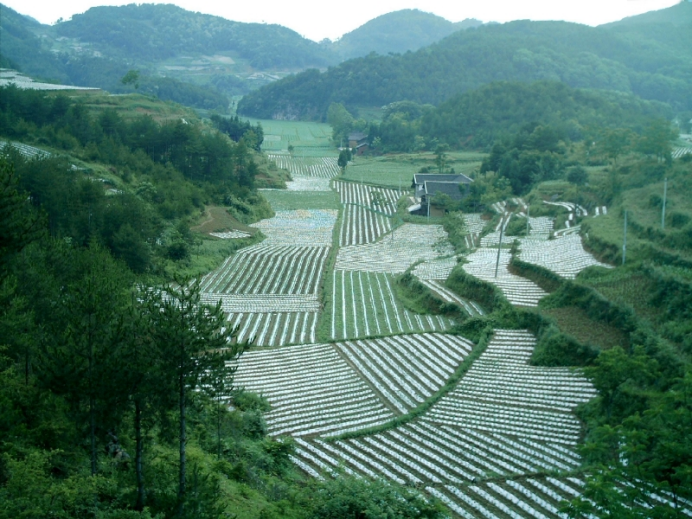 杭广协作架金桥 高山蔬菜富秦巴&mdash;&mdash;四川省广元市朝天区全产业链增值减贫案例
