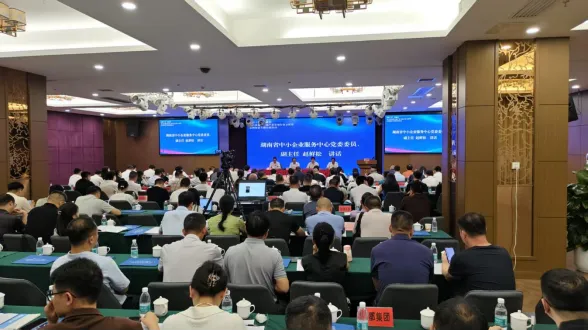 永兴县举办稀贵金属产业市场行情分析暨套期保值专题培训