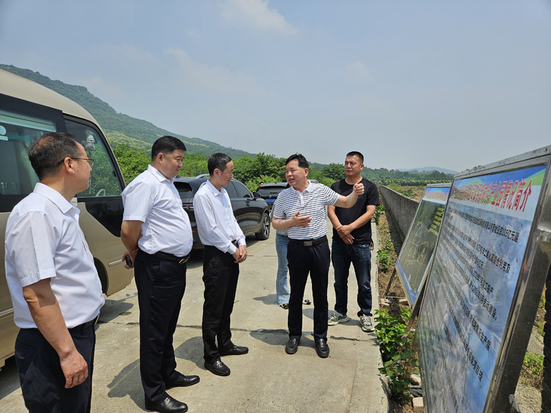 &ldquo;百园千企&rdquo;产业园区调研行｜从&ldquo;磷矿富镇&rdquo;到&ldquo;锂电新锐&rdquo;：胡集范式探路县域经济绿色转型