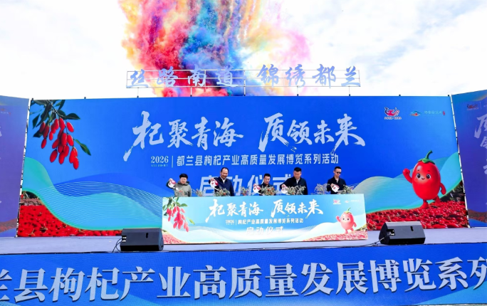 杞聚青海，质领未来 2026年都兰枸杞产业高质量发展博览系列活动成功举办