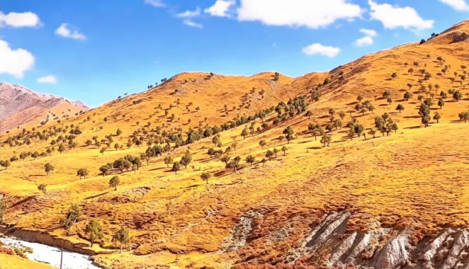 9&mdash;10月，德令哈最美秋景不等人，和最亲近的人来德令哈看秋景